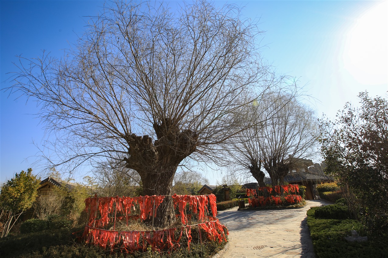 济南到德百温泉度假村,宁津德百温泉度假村