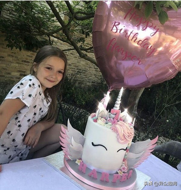 全世界最好看的生日蛋糕,史上最有创意的生日蛋糕