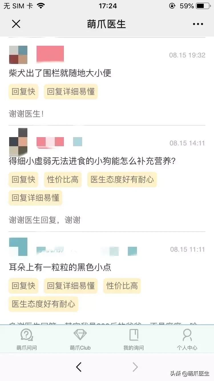 足不出户就能在线治猫病,24小时猫病在线咨询