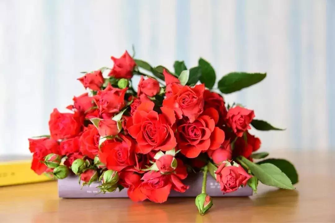 那些年你爱过的小说女配,那些年你爱过的老歌