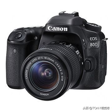 佳能尼康!新手选单反相机,推荐这几款机型,你get到了吗