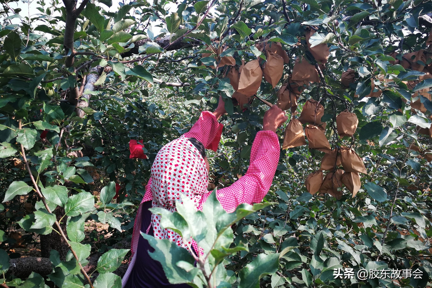 烟台栖霞95后的姑娘,95后姑娘回忆童年