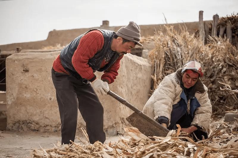 张颂文好演员瞬间入戏,张颂文节目中的演员演技