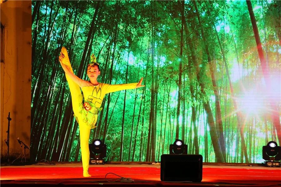 番禺区才艺大赛,番禺区才艺大赛总共分为几等奖