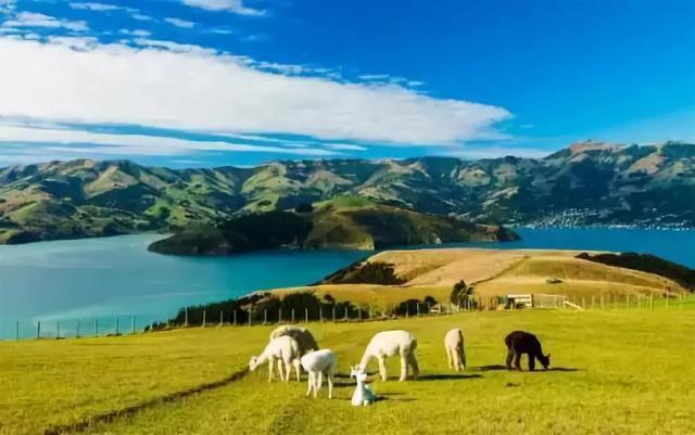 在国外护照身份证全部丢了怎么办,身在国外护照到期了怎么办