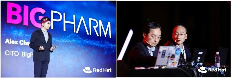 红帽总决赛2019,红帽论坛