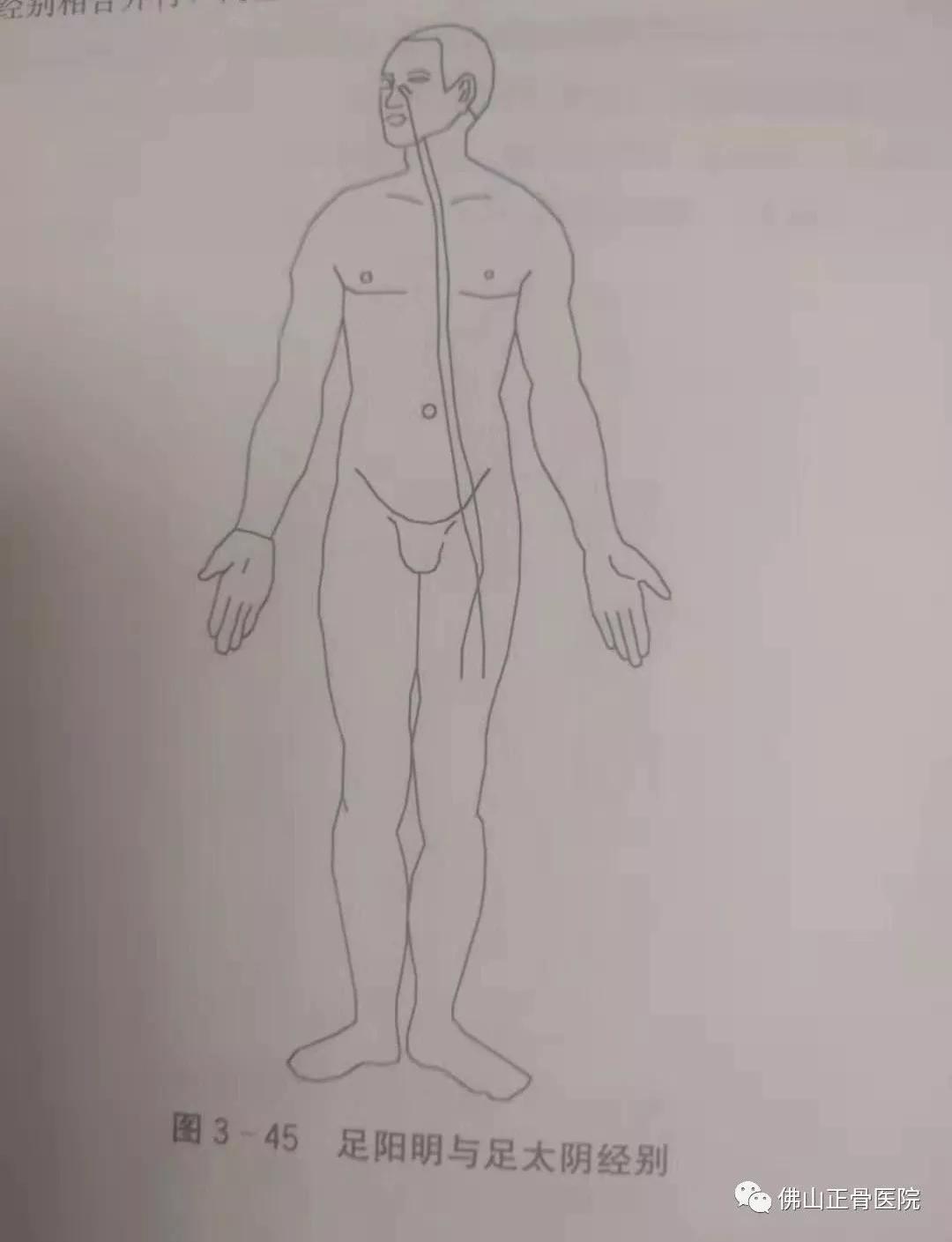 经筋手法，我院名誉院长国医大师韦贵康《韦氏骨伤手法集成》