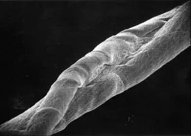 纺织纤维与面料分析介绍,天然纤维面料基础知识大全