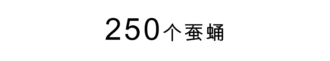 爱马仕丝巾一条,爱马仕丝巾如何成为第一的