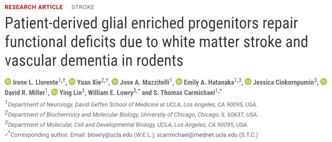 国外最新干细胞治中风后遗症消息,干细胞治愈卒中新消息