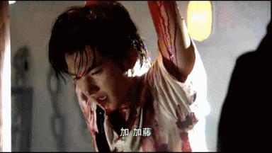 杨洋宋轶演的电视剧什么小说改编,宋轶和杨洋主演的谍战剧