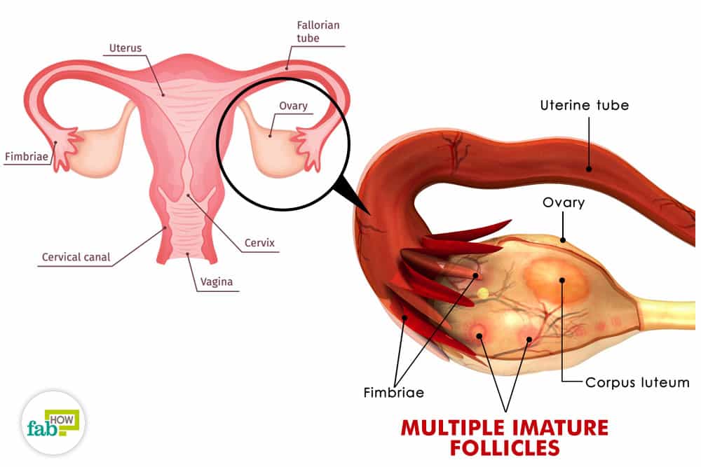 雌激素水平升高会影响月经吗,如何提升女性雌激素水平