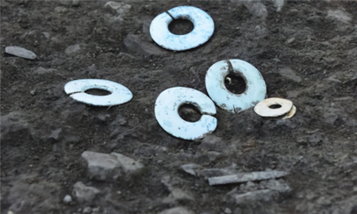 前面抱人，后面背鹿，这只虎是在干嘛呢？