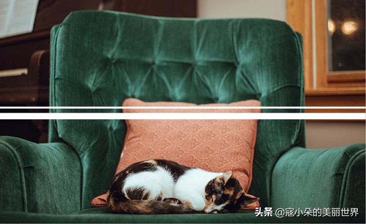 街尚|性感狡黠不是妖，而是猫性女人的专属！致敬猫女