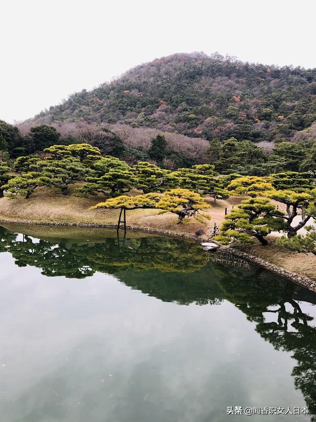日本的米其林三星餐厅,日本米其林三星参观