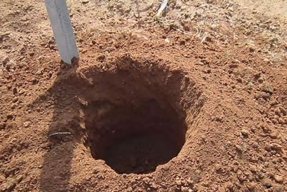 医院会把产妇不要的胎盘怎么处理,医院处理产妇胎盘