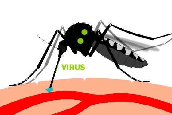 治疗蚊子咬后奇痒的药,跟蚊子咬的疙瘩一样奇痒无比