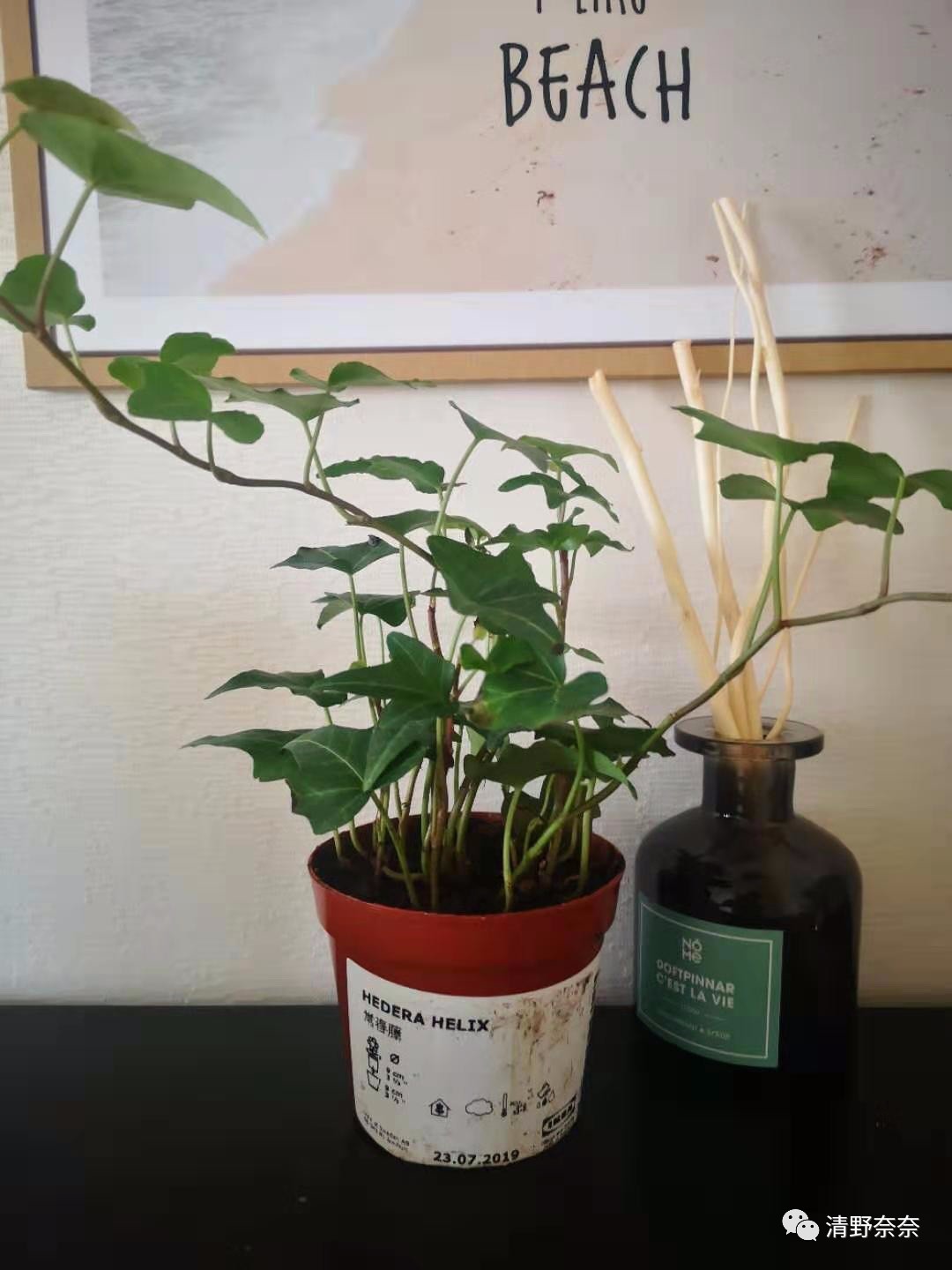 宜家10元以下好物推荐,宜家必买的100元单品