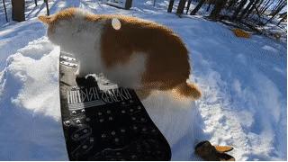 冬奥会服装绘画,冬奥会奖牌设计画