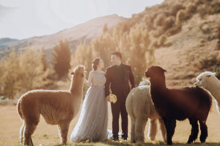 北欧婚礼旅拍流程,国外婚礼旅行策划方案