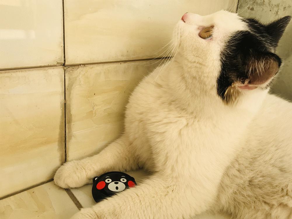 防疫空气消毒器,防疫空气净化消杀器