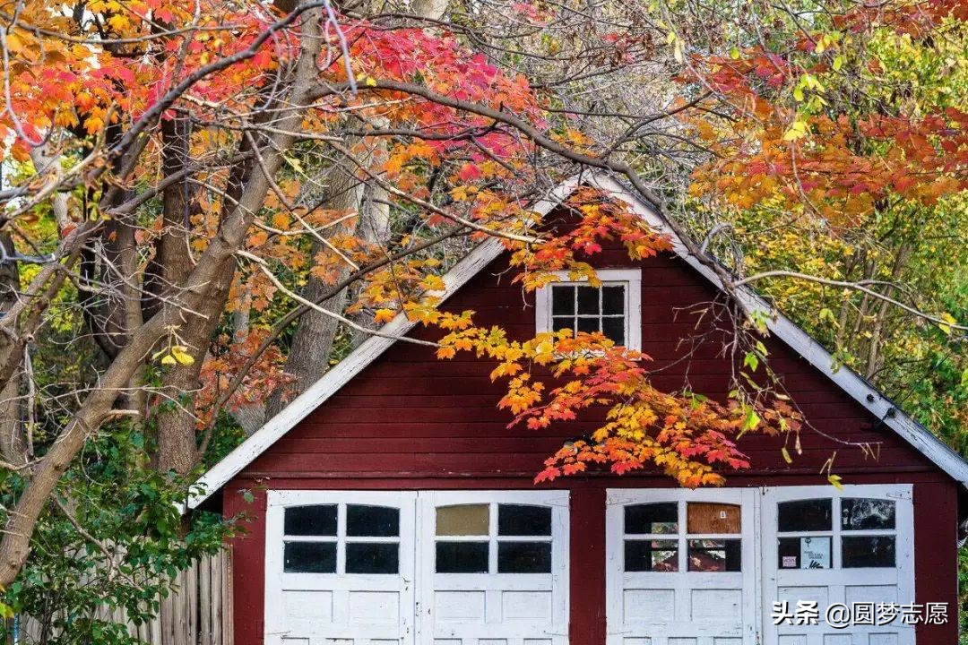 2020年山西独立学院转设：3所公*本科办**，2所民*本科办**