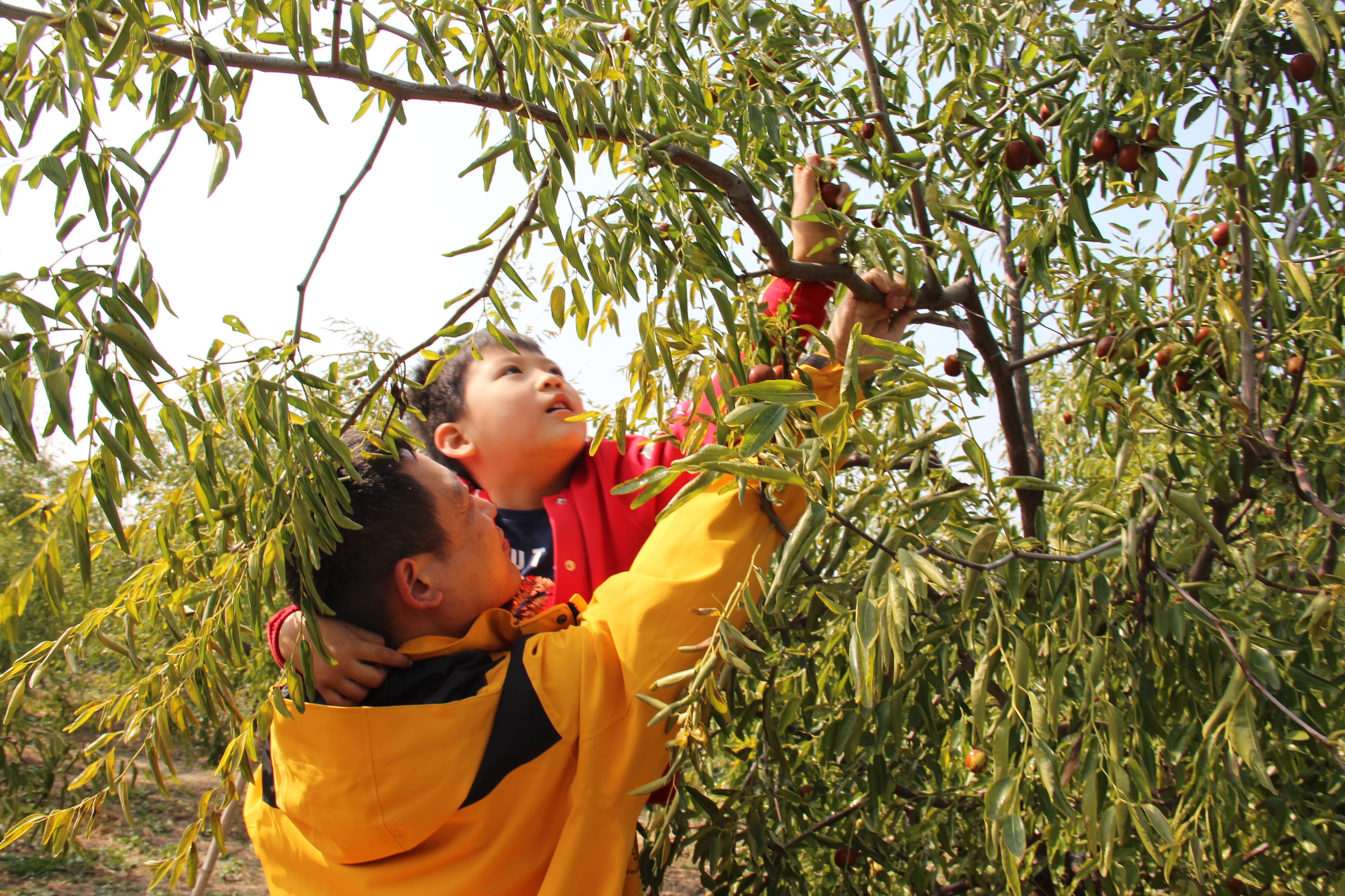 沙乐华冲锋衣高清图片,沙乐华冲锋衣怎么样