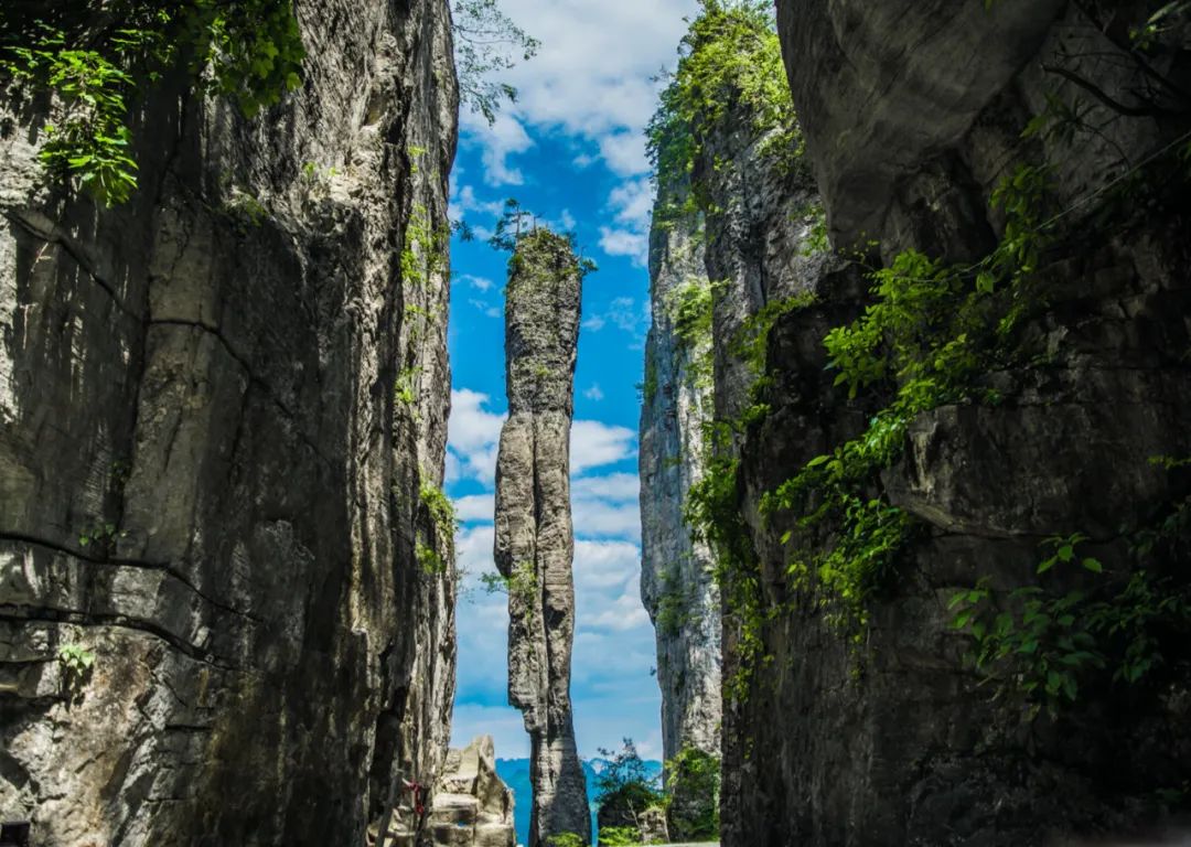 避暑胜地都躲不过45度的高温,各地避暑美食有哪些