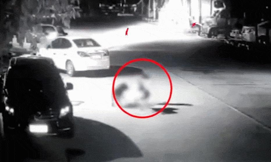 遇到恶狗攻击人如何自救,恶狗攻击人