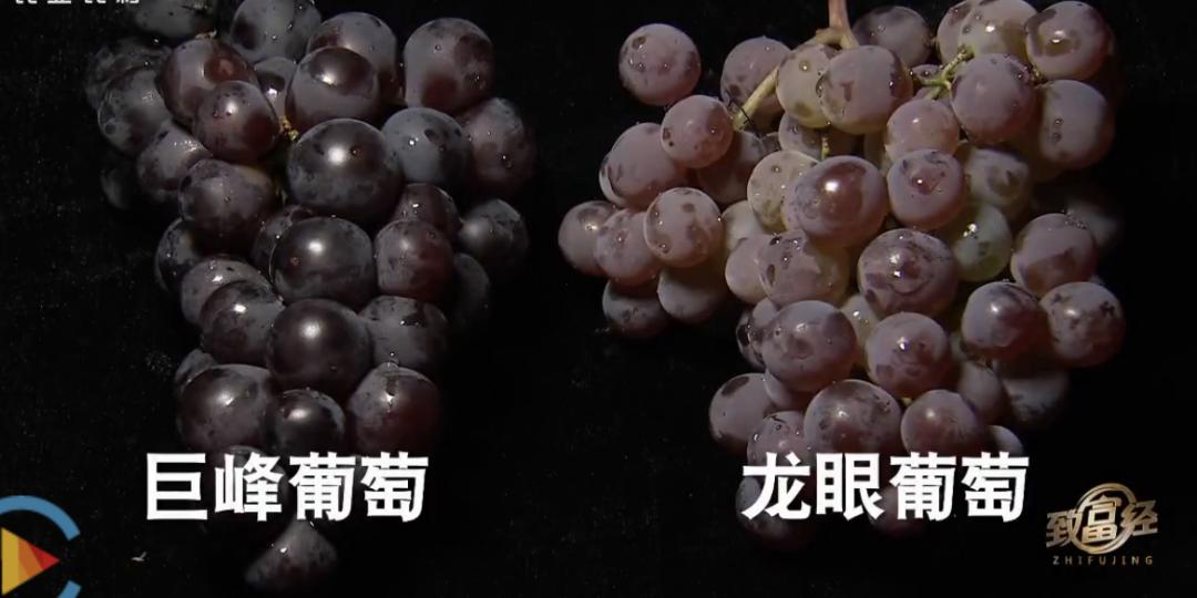 辽宁省盘锦家庭主妇数年布局，小果子卖出千万元