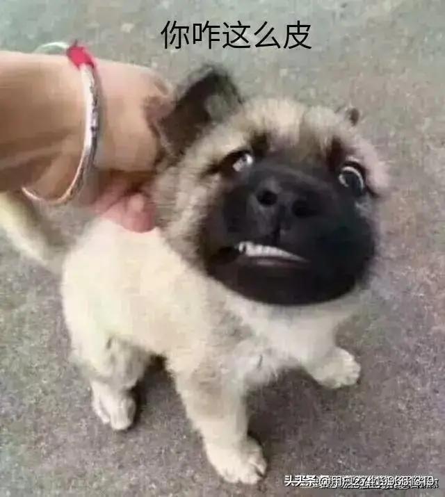 不要拿爱好挑战别人的饭碗拳击,马健评价杨毅的视频