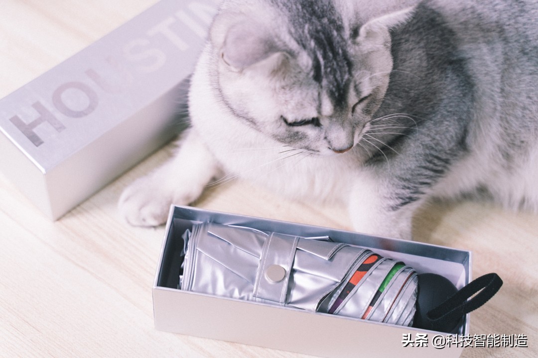 防晒伞巴掌大,巴掌大的防晒伞好看的