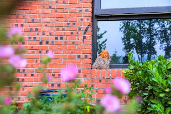 去京城好玩的地方,去非遗馆玩什么体验好