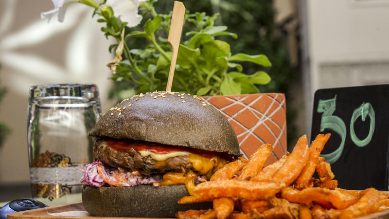 从天空到海洋到大地的视频,从天空到海底绘本