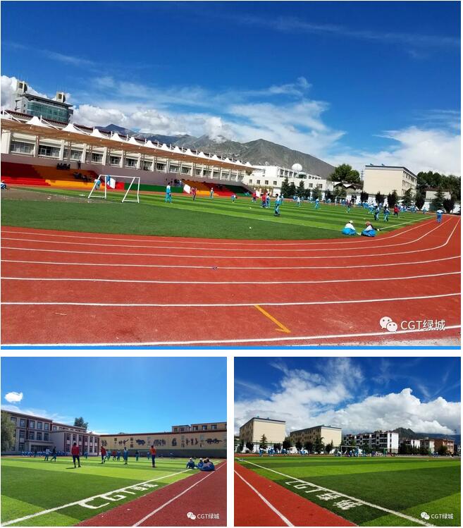 国外人造草坪足球场,高端人造草足球场