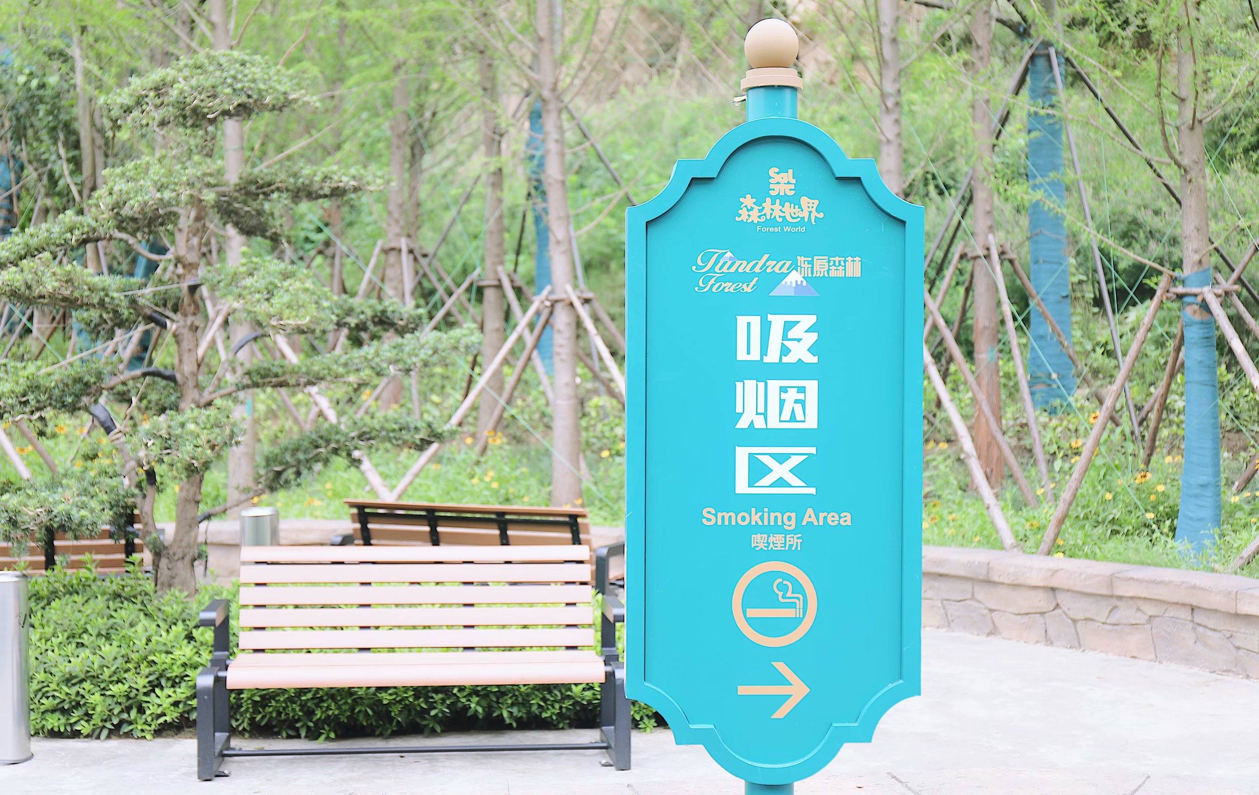 苏州乐园森林水世界几月份开始,乐园森林世界手游攻略