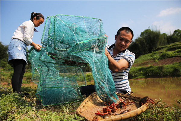 小龙虾珠海推荐,小龙虾广东探店