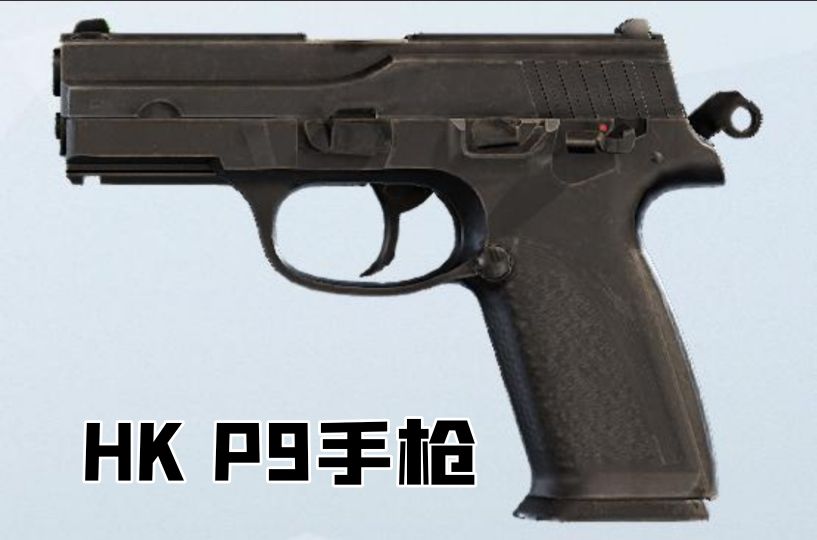 英国枪史图册全篇,德国枪图片