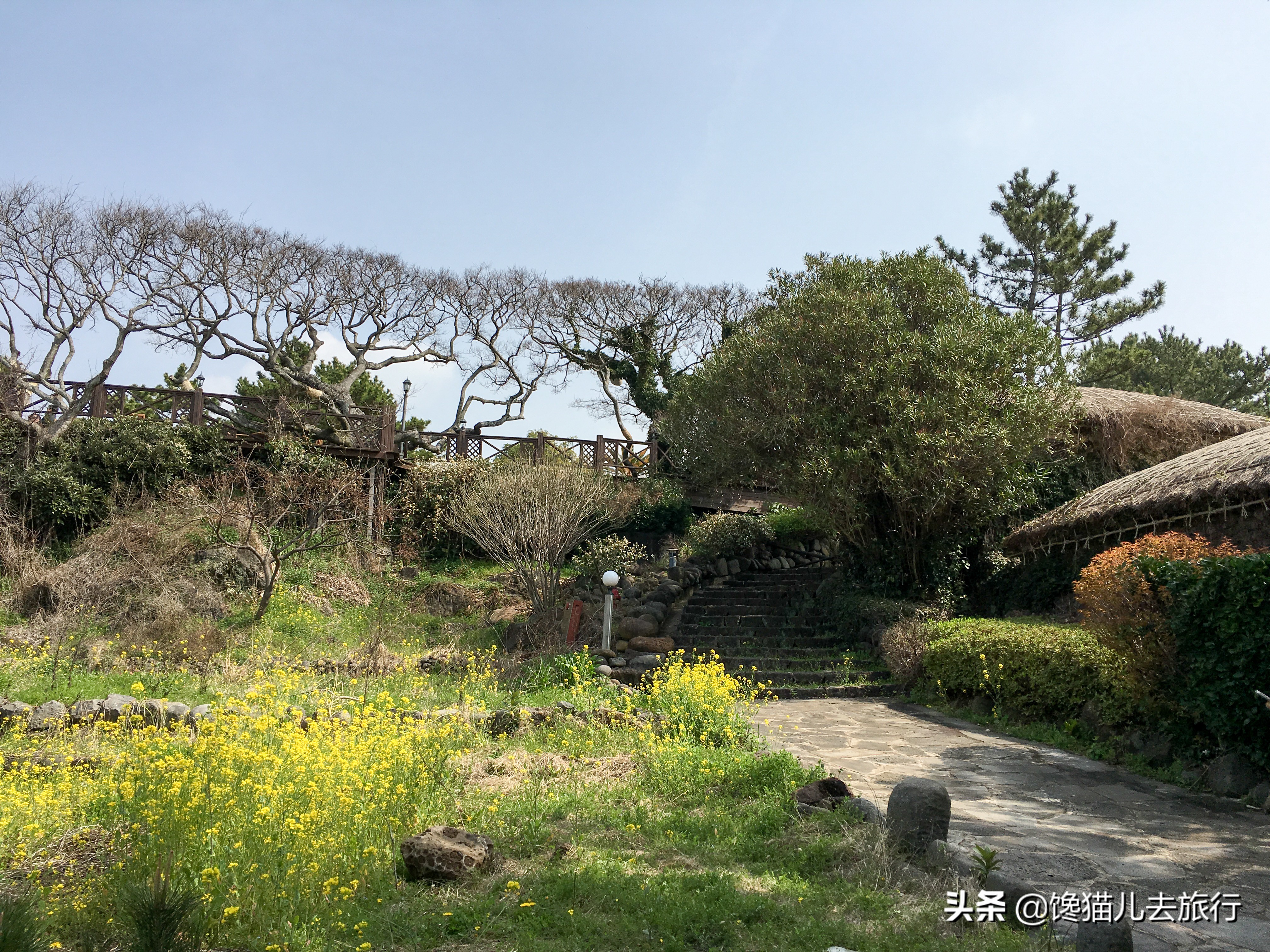 韩国旅游汗蒸馆,韩国汗蒸馆实拍