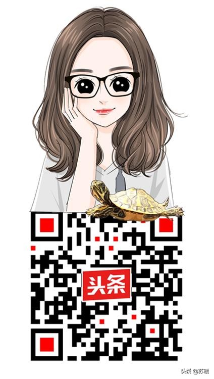 冬季加温养龟法,为什么养龟都加热