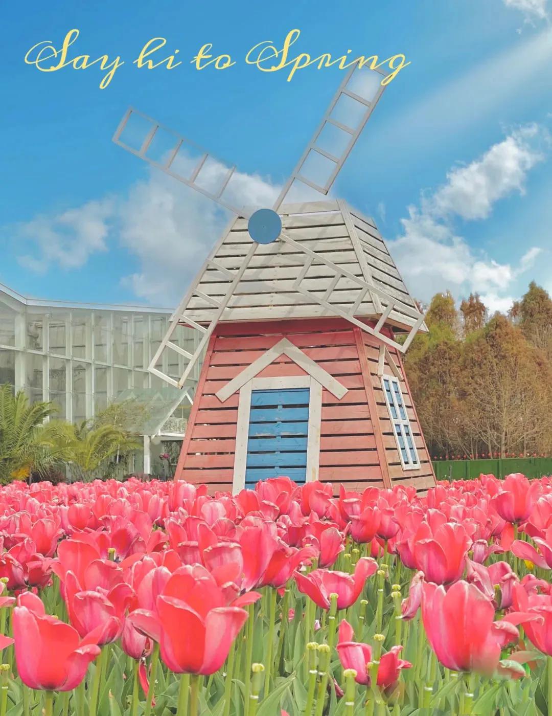 昆明亲子游自驾游攻略推荐路线,昆明周末亲子游十大好去处