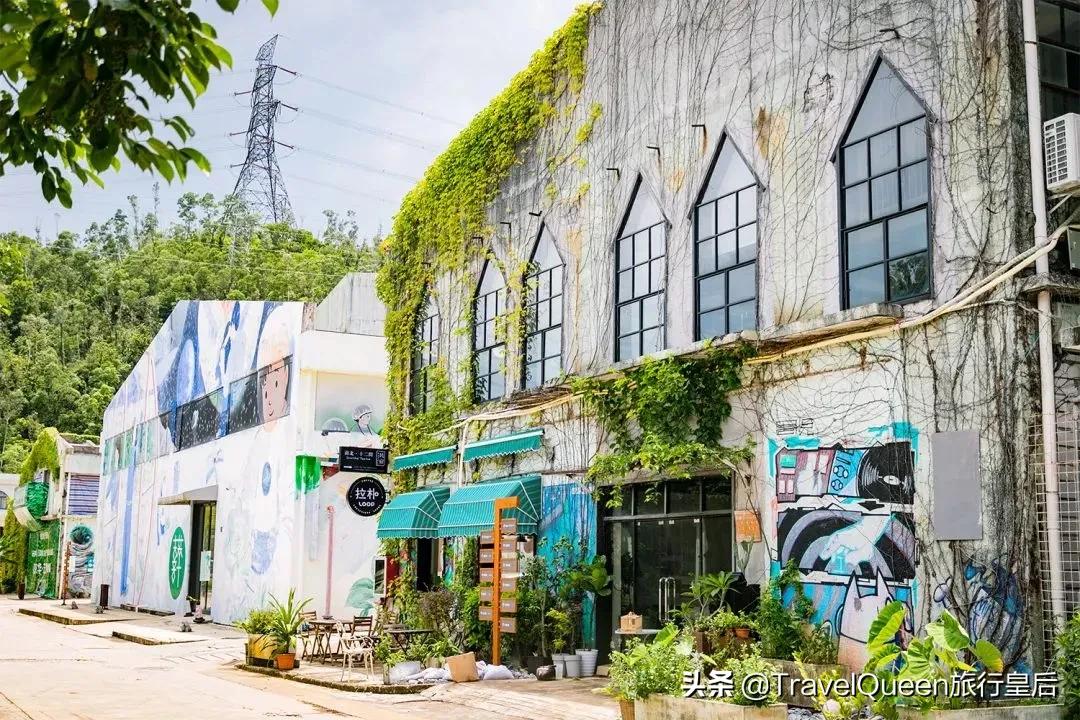 动物森友会无人岛一天可以去几次,动物森友会所有虫类图鉴