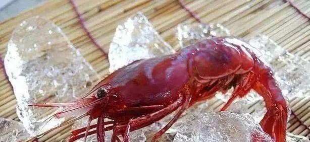 哪种海鲜的味道最鲜美,世界上最鲜美的海鲜