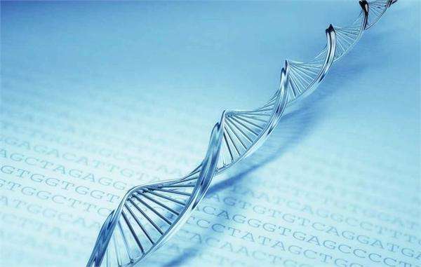 基因治疗能让人长生不老吗,基因康复治疗
