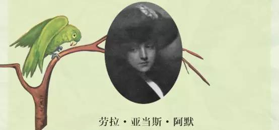 从一年级到十年级的书,从一年级到九年级的课文朗读