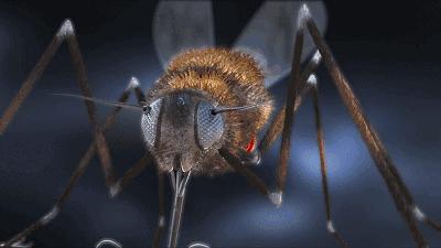 灭蚊神器怕蚊子的人赶紧入手吧,日本户外灭蚊器