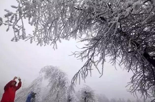 雾凇之美宛若仙境,连云港花果山雾凇美得像仙境