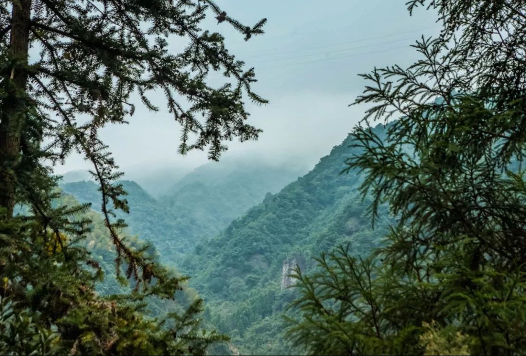 金华小九寨风景区,小九寨原始森林半日游