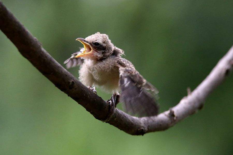 工作中是否应该有存在感,工作缺乏积极性缺乏热情如何整改