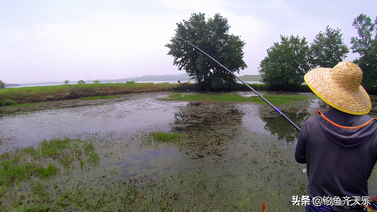 钓到大鱼被鱼咬到隐身部位,男子钓鱼被蛇咬伤